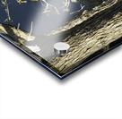 Two Little Birds Acrylic print