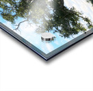 Long Beach MS Tree Acrylic print