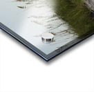 Guy s Beach Acrylic print