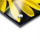 Bee The Flower Acrylic print