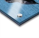 Crow at the Beach 1717431764.8933 Acrylic print