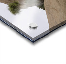 Joshua Tree Bolders Acrylic print