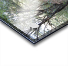 Mountain Trail Acrylic print