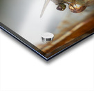 Rusty the Dragonfly Acrylic print