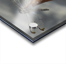 Azul the Dragonfly Acrylic print