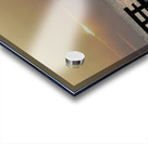 Thelma  Chris Acrylic print