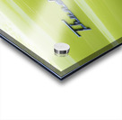 Yellow Thunderbird Acrylic print