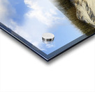 Orange VW Van Acrylic print