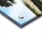 Cruisin  Beetle Acrylic print