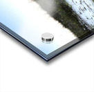 Convertible Silver Corvette Acrylic print