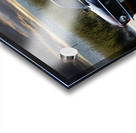 Red Mustang w Black Stripe Acrylic print