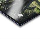 Mom and Calf Greet the Morning Acrylic print