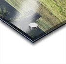 Long Horns Acrylic print