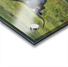 Double Trouble Acrylic print