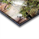 Flowers in the Junkyard Acrylic print