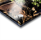 Junkyard Lemon Tree Acrylic print