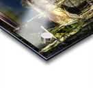 Forgotten Acrylic print