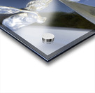 RR Hood Ornament Acrylic print