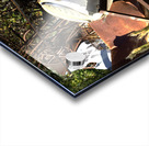 Junkyard Gold Acrylic print