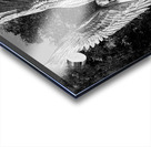 BW BSL Cemetary Guardian Acrylic print