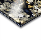 Wings of Autumn Acrylic print