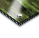 Three Is A Crowd Acrylic print