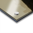 The Levee in Long Beach CA Acrylic print