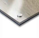 Making My Way Home Acrylic print