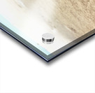 Making My Way To The Water Acrylic print