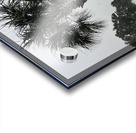 Guy s Snowy Palm Tree Acrylic print