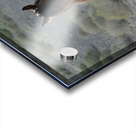 Wild Brown Horse Acrylic print