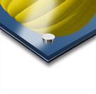 Hot Air Balloon Acrylic print