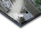 Baby Deer Acrylic print