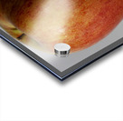 Big Apple Acrylic print