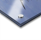 Lovers In Flight Acrylic print