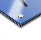 Soaring Acrylic print