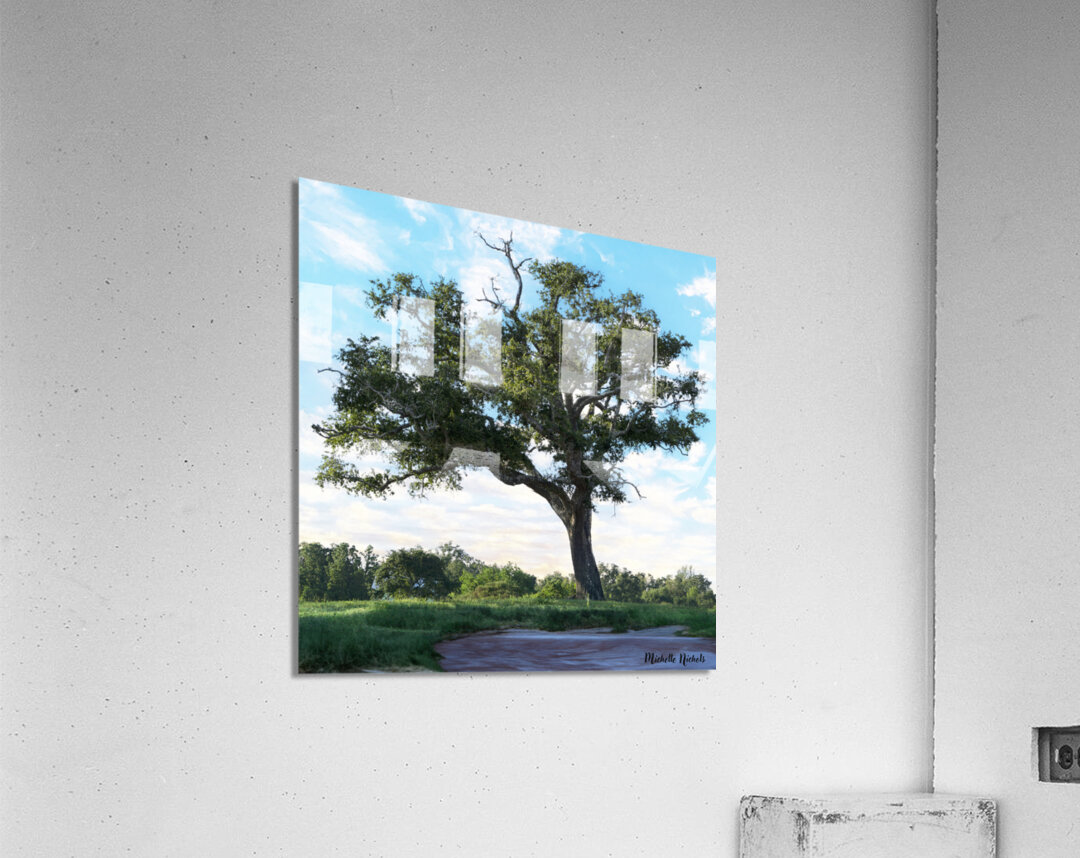 Long Beach MS Tree Acrylic Print