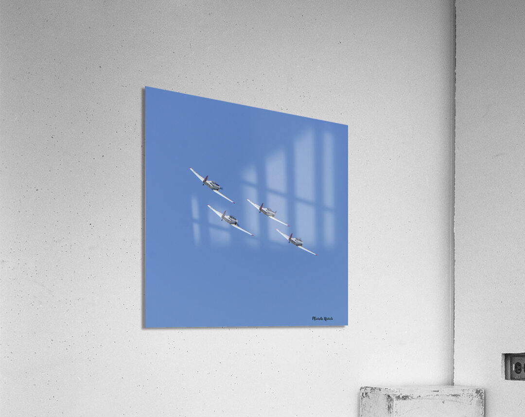 CA Planes 1sq Acrylic Print
