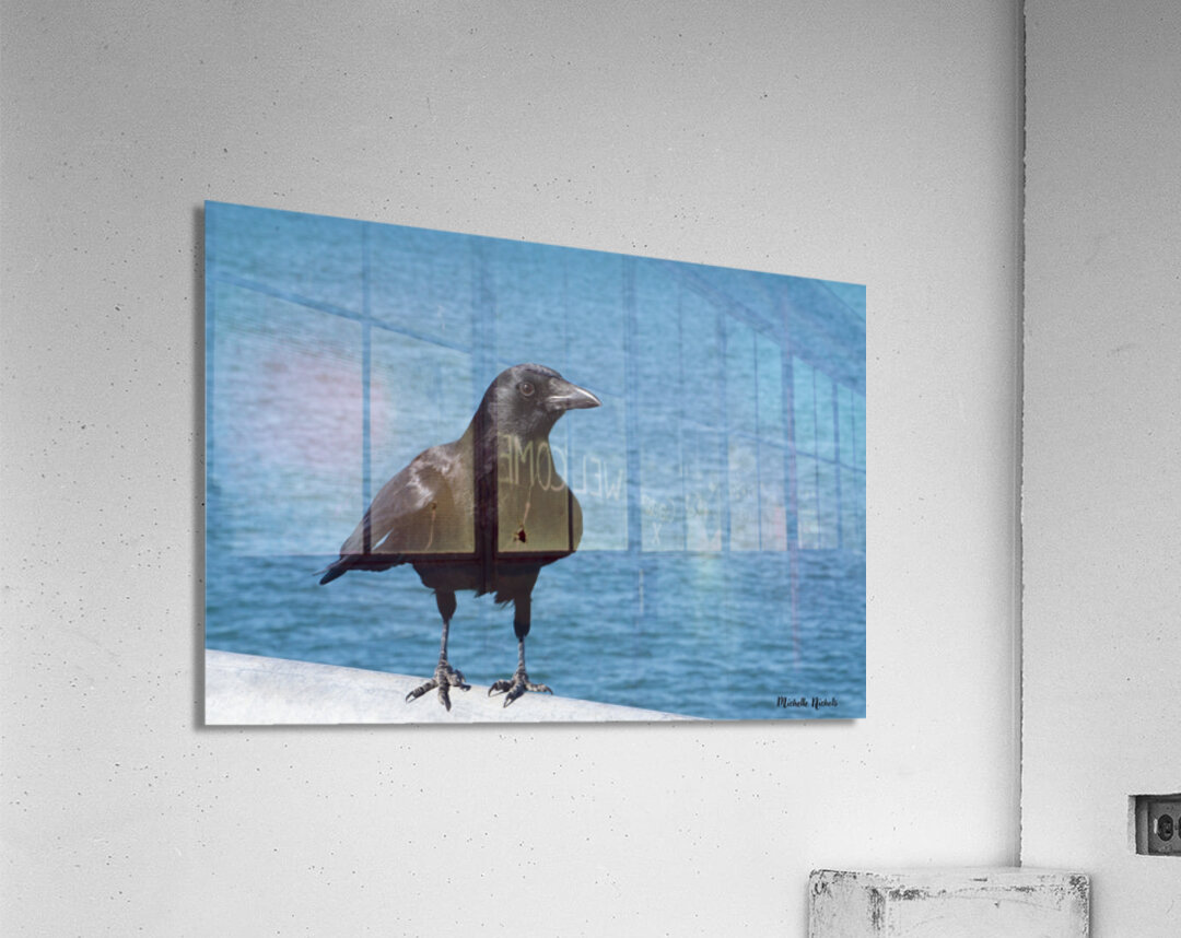 Crow at the Beach 1717431764.8933 Acrylic Print