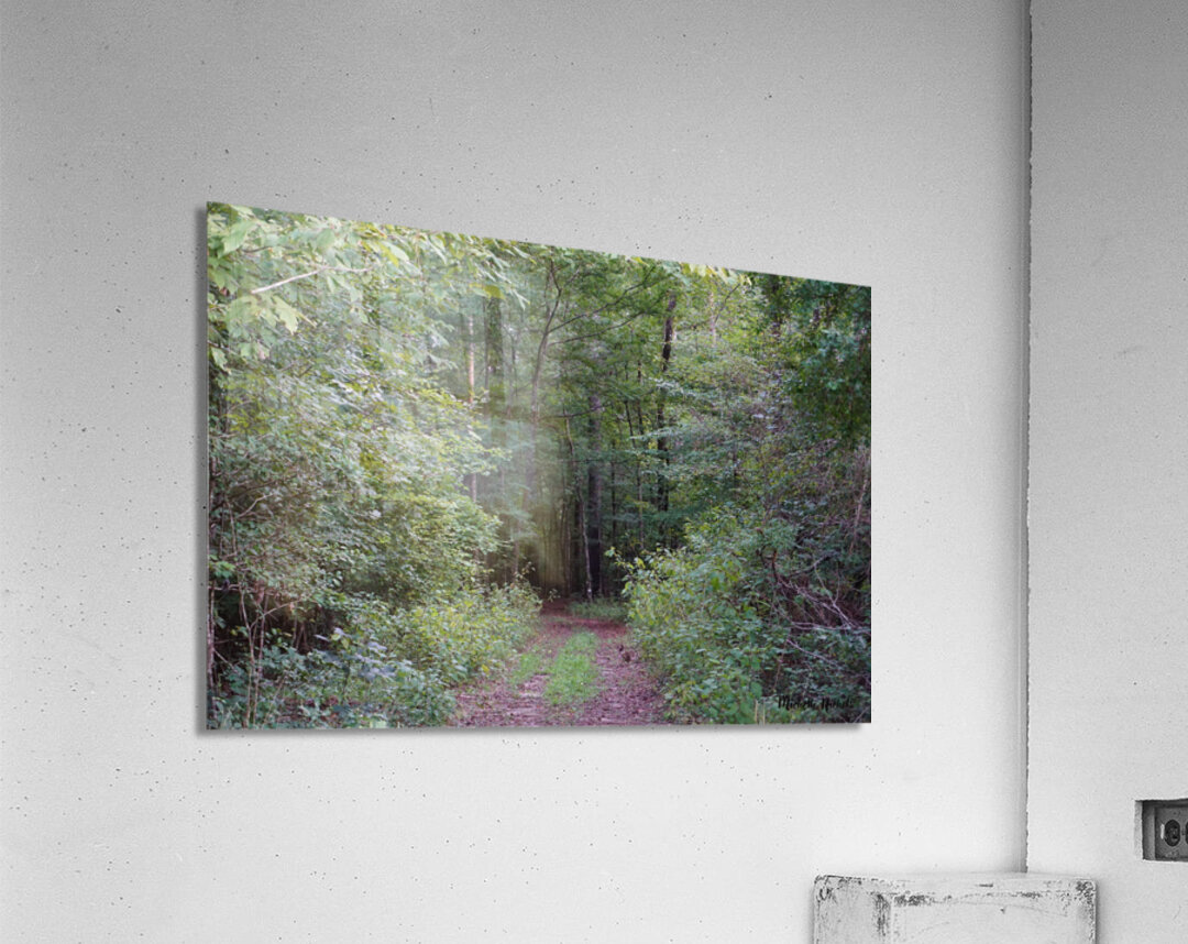 Forest Path Acrylic Print