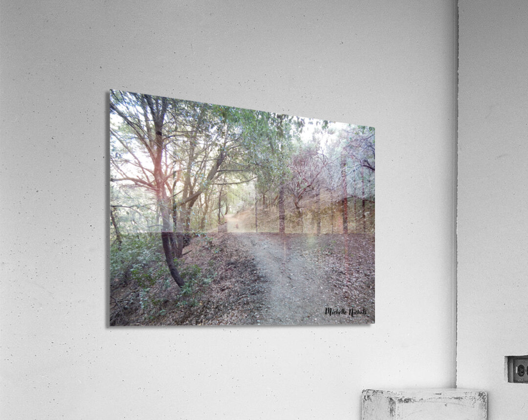 Mountain Trail Acrylic Print