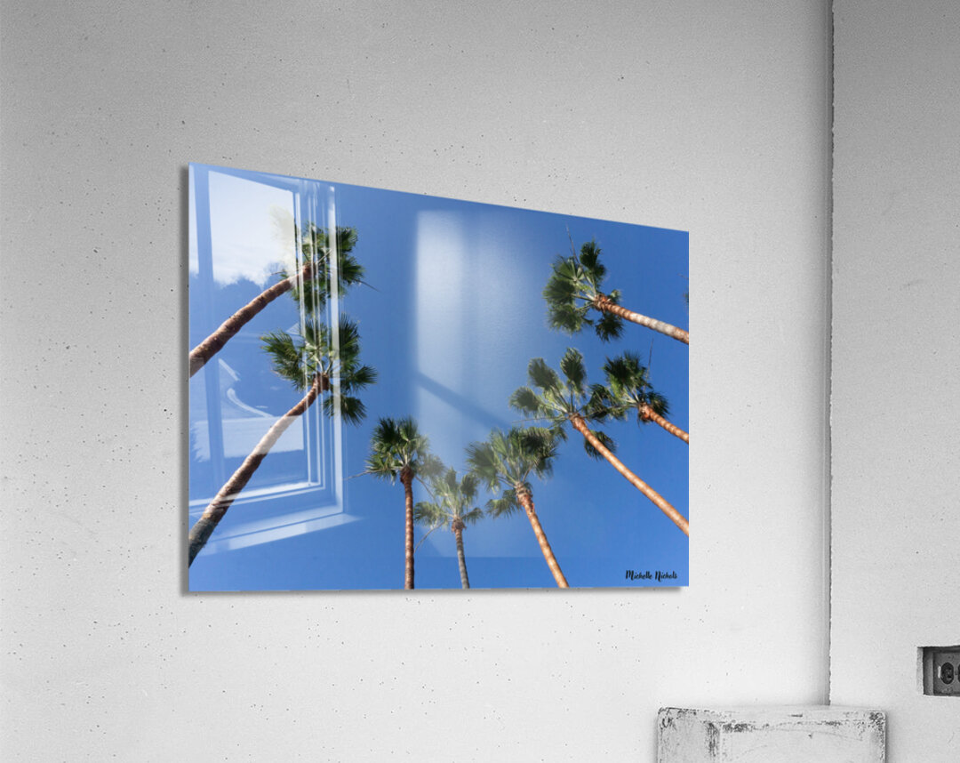 Palm Trees Acrylic Print