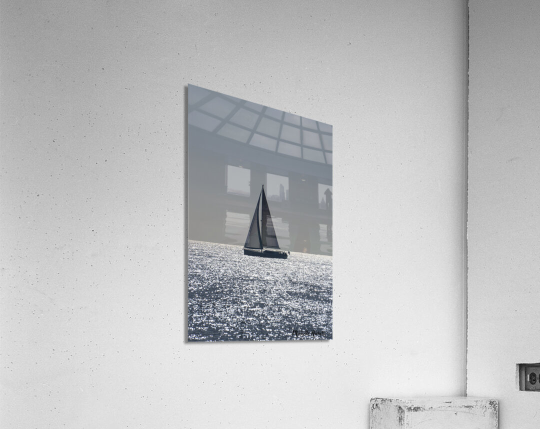 Sailing Acrylic Print
