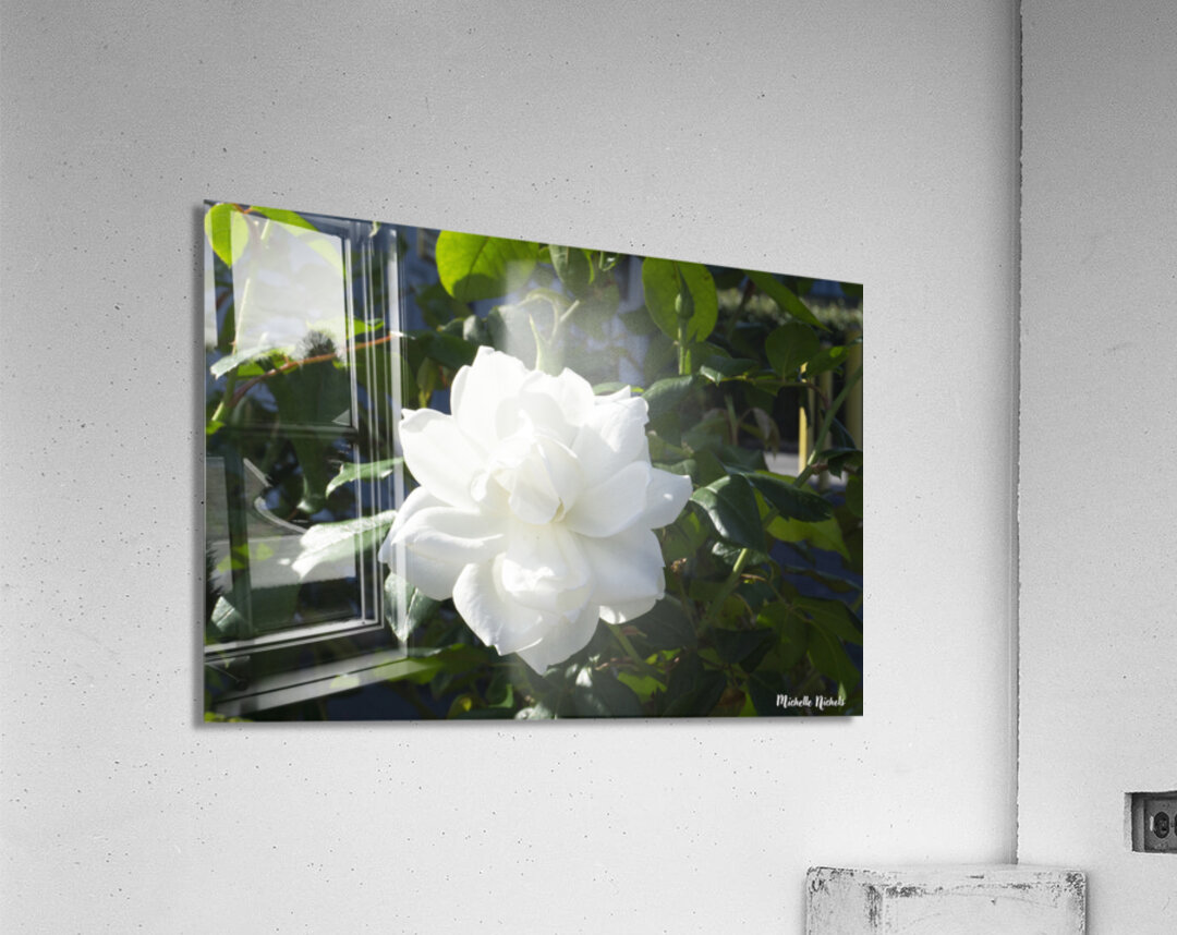White Cam Acrylic Print