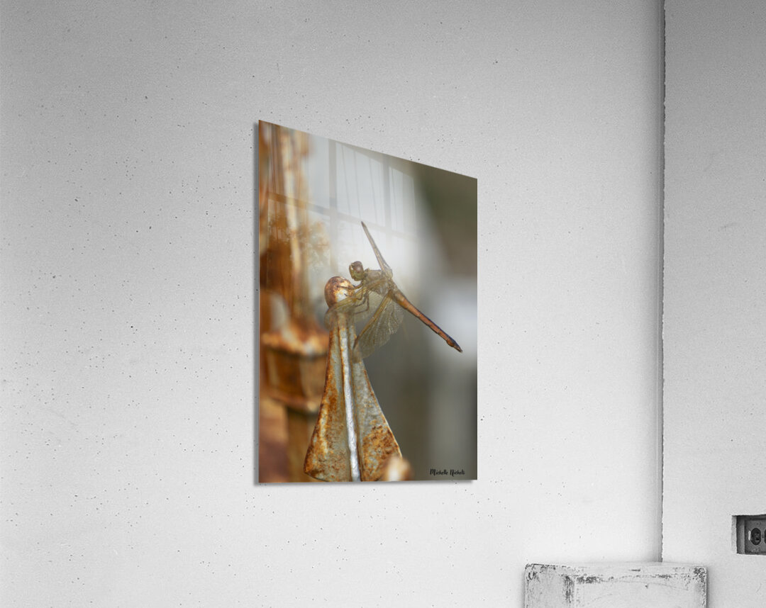 Rusty the Dragonfly Acrylic Print