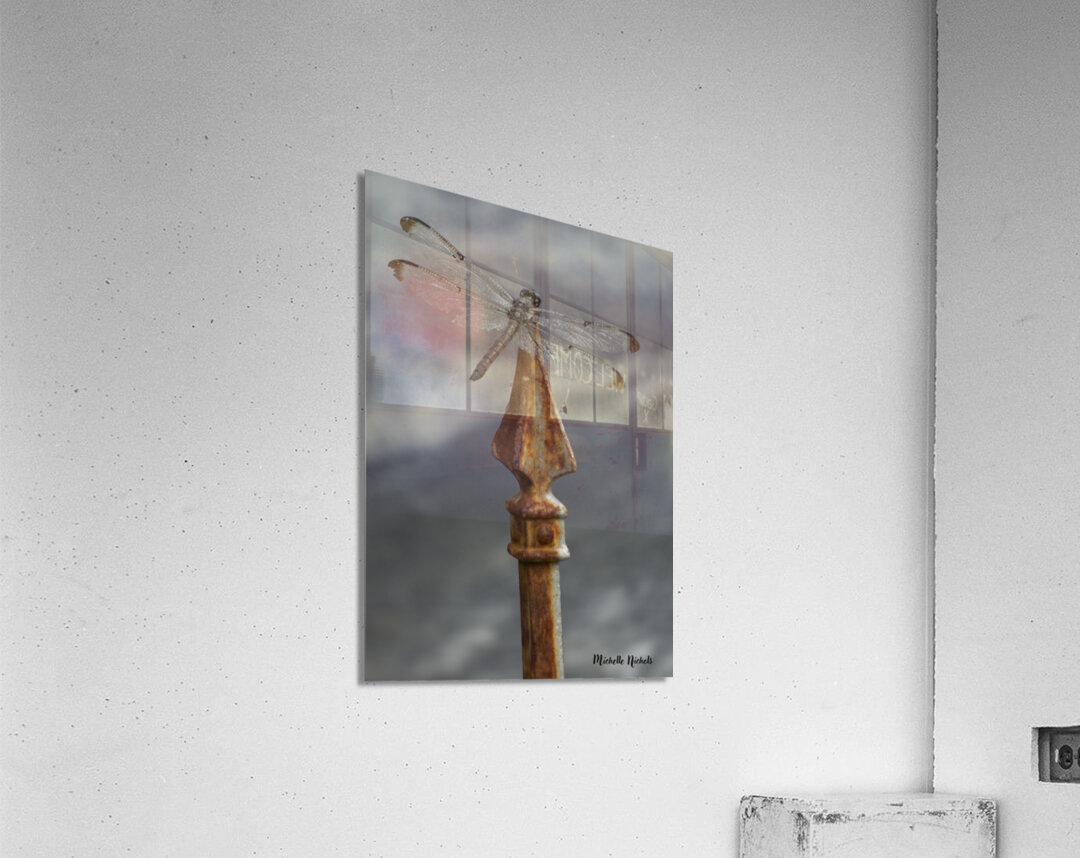 Azul the Dragonfly Acrylic Print