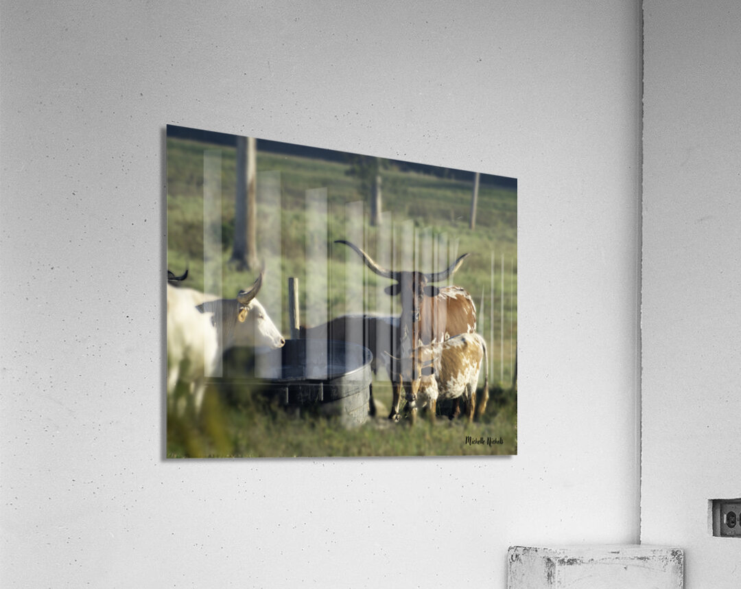 Gossip at the Water Cooler Acrylic Print