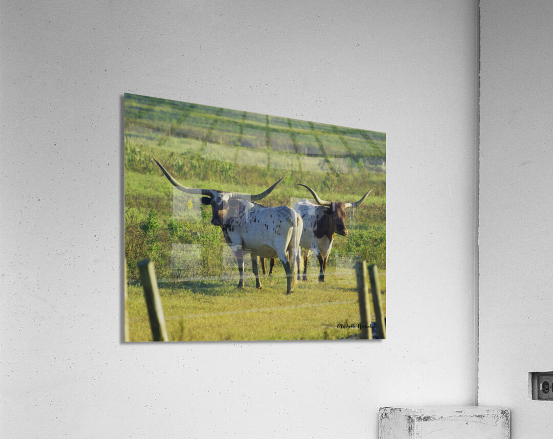 Double Trouble Acrylic Print