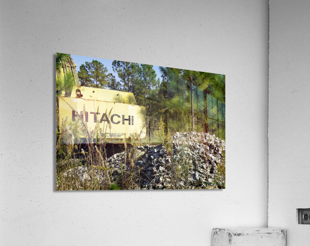 Aluminum Mound Acrylic Print