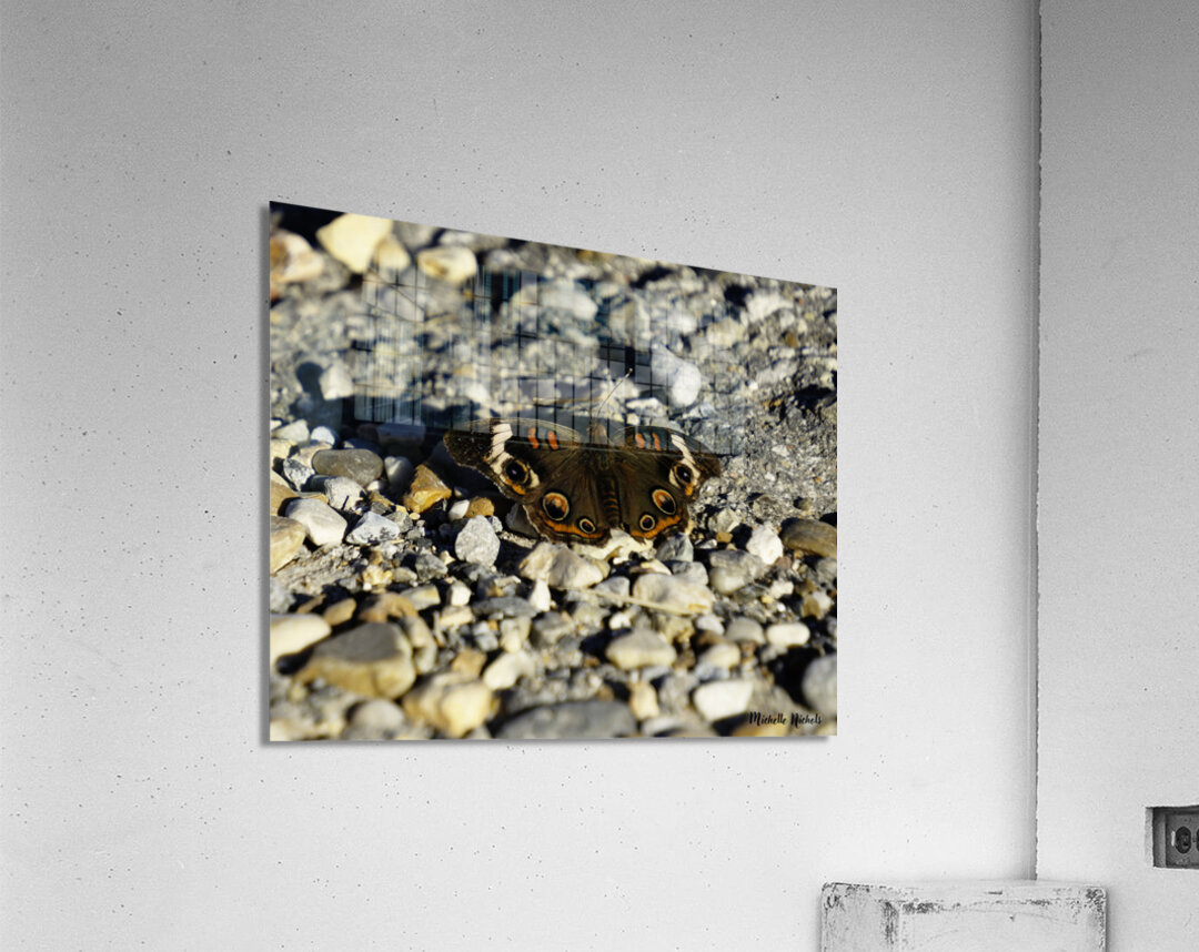 Wings of Autumn Acrylic Print